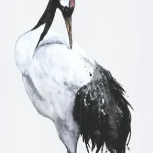 Gereduceerde Prijs Marburg Kumano Fotobehang met kraanvogel - 34594