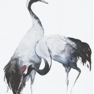 Marburg Kumano Fotobehang met kraanvogels - 34596 Direct Verzonden