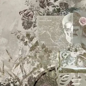 Seizoensaanbieding Muance Muance Fotobehang Skull Candy - MU13046