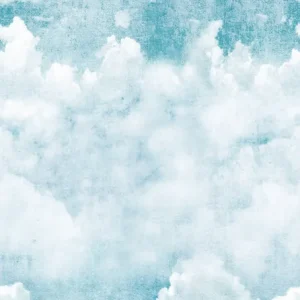 Alleen Vandaag Grandeco Orom 2 - A42501 - Blue Clouds 159x280cm