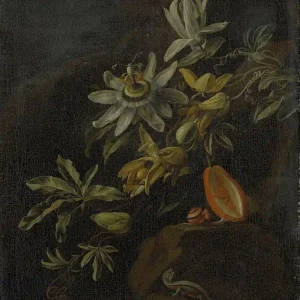 Korting Dutch Painted Memories 1 - 8007 - Passion Flowers