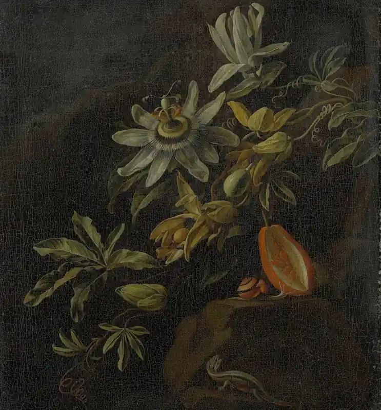 Korting Dutch Painted Memories 1 - 8007 - Passion Flowers
