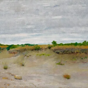 Lage Kosten Dutch Painted Memories 2 - 8066 - Wind-Swept Sands