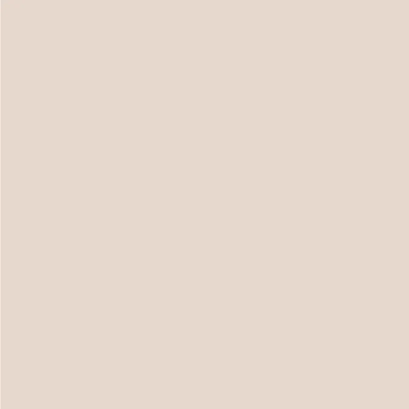 Sigma Perfect Matt Muurverf - PPG1015-3 - Peach Pudding Speciale Aanbieding