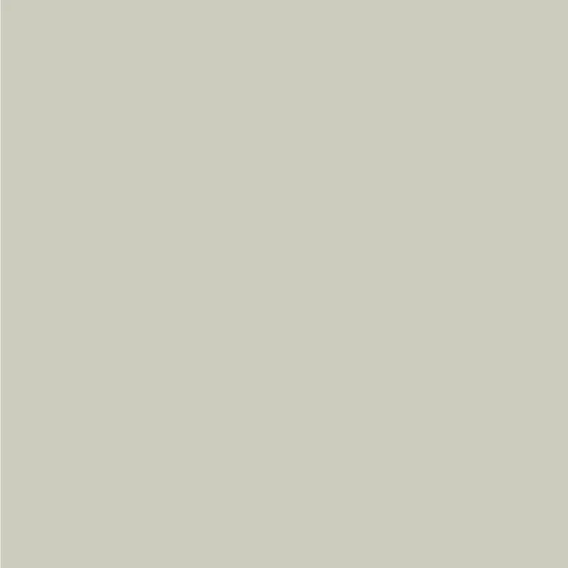Sigma Perfect Matt Muurverf - PPG1032-1 - Metallic Mist Alleen Vandaag