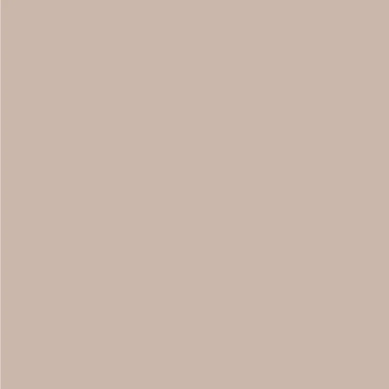 Sigma Perfect Matt Muurverf - PPG18-03 - Latte Ice Premium