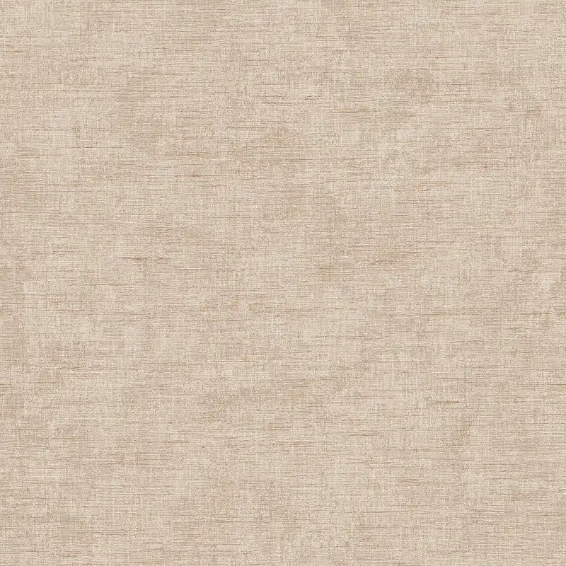 Lage Prijs Dutch Renaissance 2 - RE521063 - Needle point plain beige