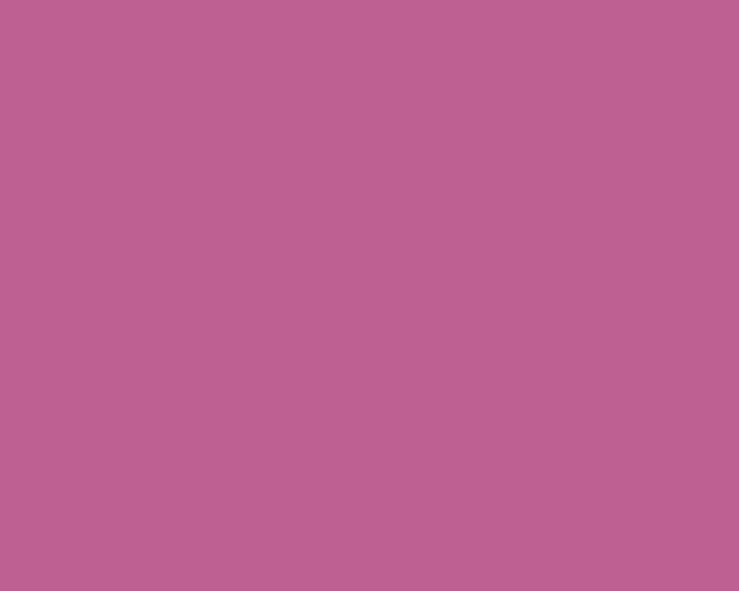 STRIJCK Lipstick - 069R-5 Seizoensaanbieding