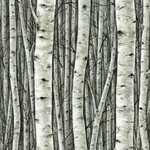 Aanbieding Marburg Timber Behang met berkenbomen - 35380