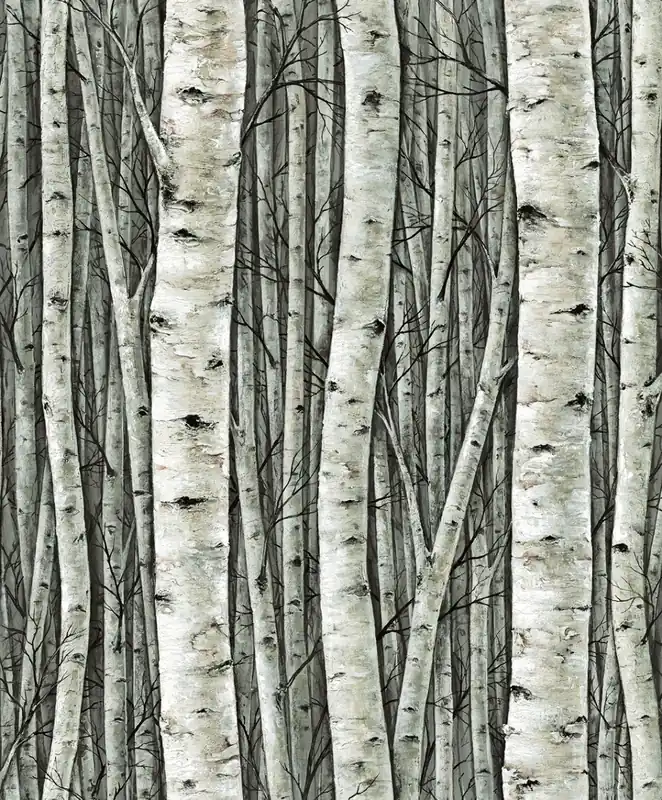 Aanbieding Marburg Timber Behang met berkenbomen - 35380