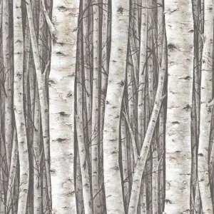 Koop Online Marburg Timber Behang met berkenbomen - 35394