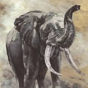 Laatste Kans Marburg Travertino Fotobehang aquarel olifant - 33099