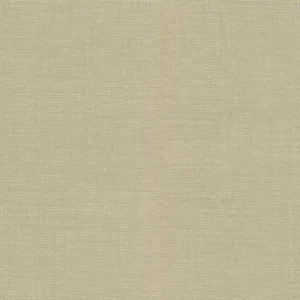 Lage Kosten Dutch First Class Tendenze - 73858 - Uni