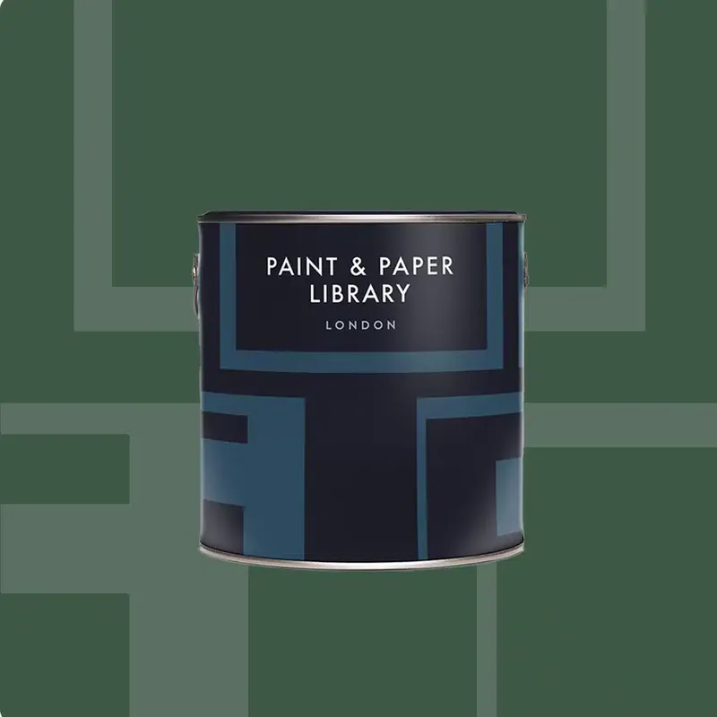 Hete Deal Paint & Paper Library HUNTER DUNN 523