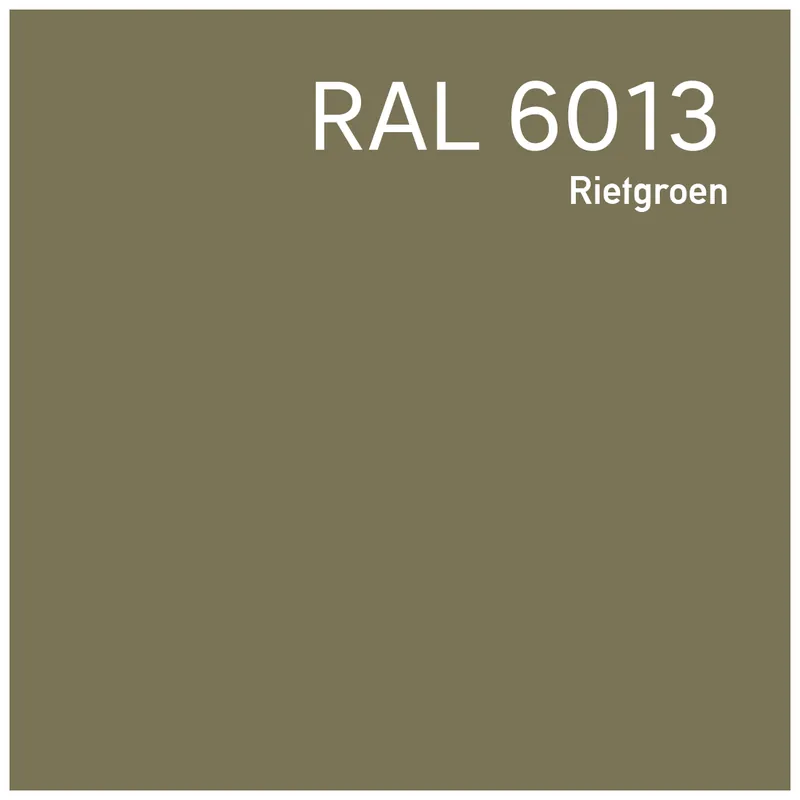Hete Deal RAL 6013 Rietgroen