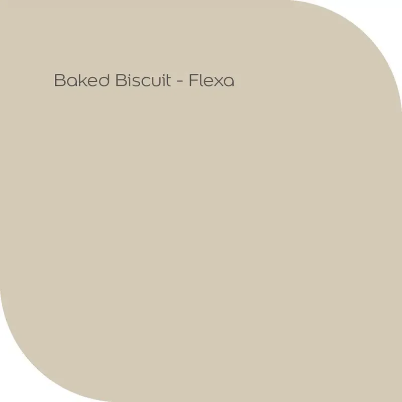 Baked Biscuit Direct Verzonden
