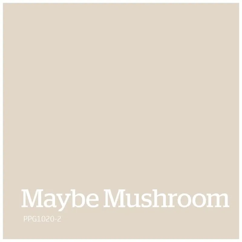 Express Levering PPG1020-2 – Maybe Mushroom
