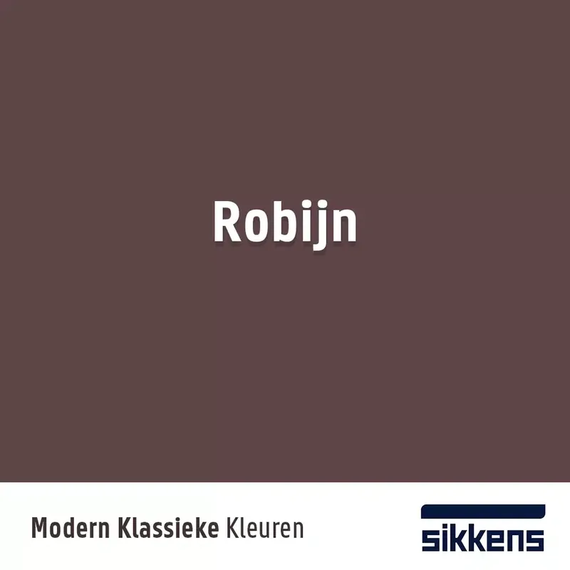 Laatste Versie Robijn