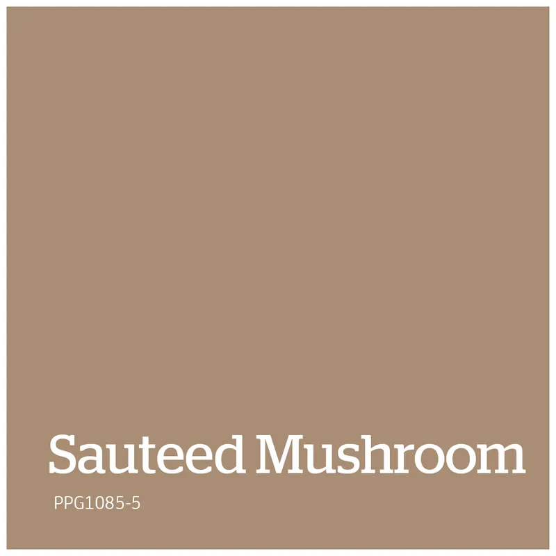 PPG1085-5 – Sauteed Mushroom Flitsaanbieding