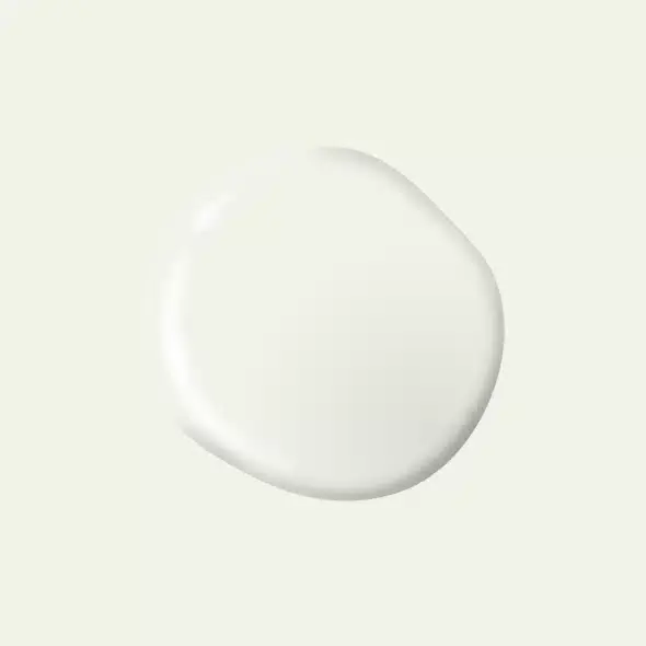 Merkproduct PPG1001-1 – Swansong