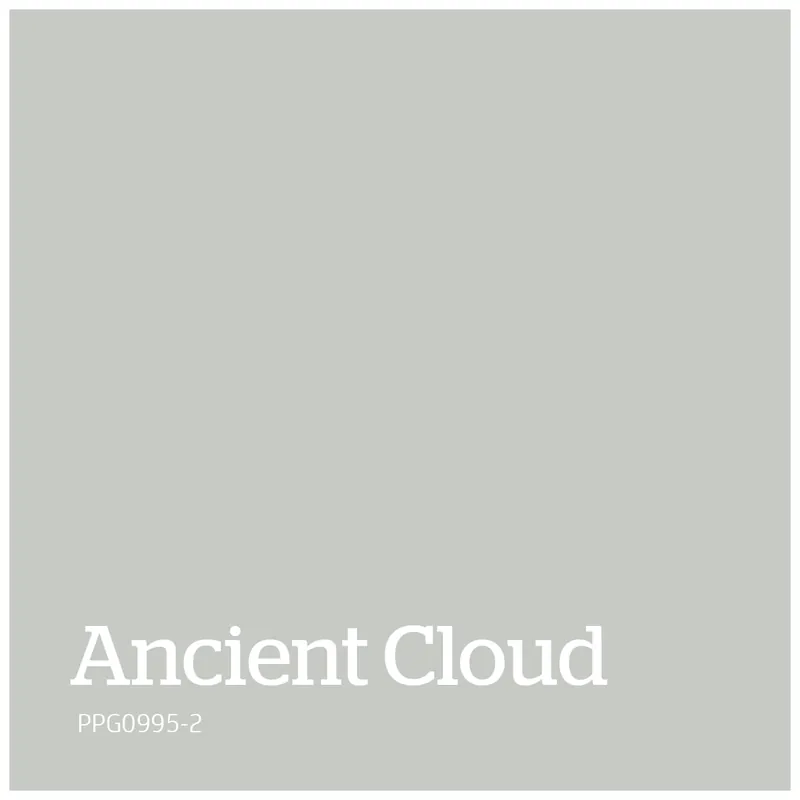 PPG0995-2 – Ancient Cloud Superprijs
